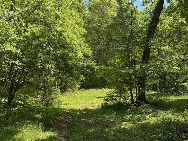 0 Pitts Gap Mountain Road Pikeville TN 37367