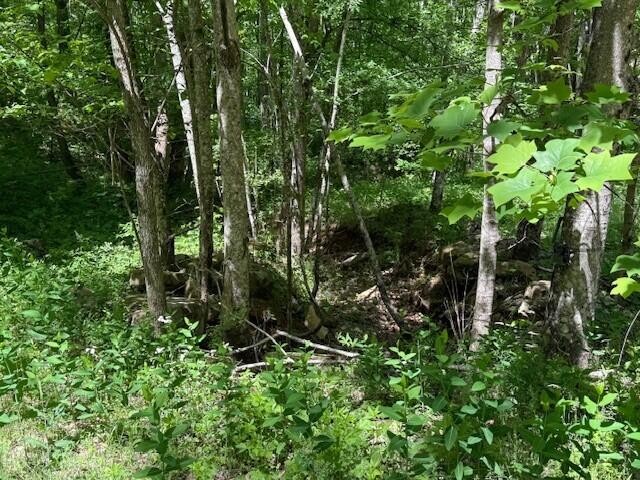 0 Pitts Gap Mountain Road Pikeville TN 37367