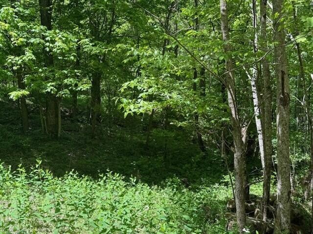 0 Pitts Gap Mountain Road Pikeville TN 37367