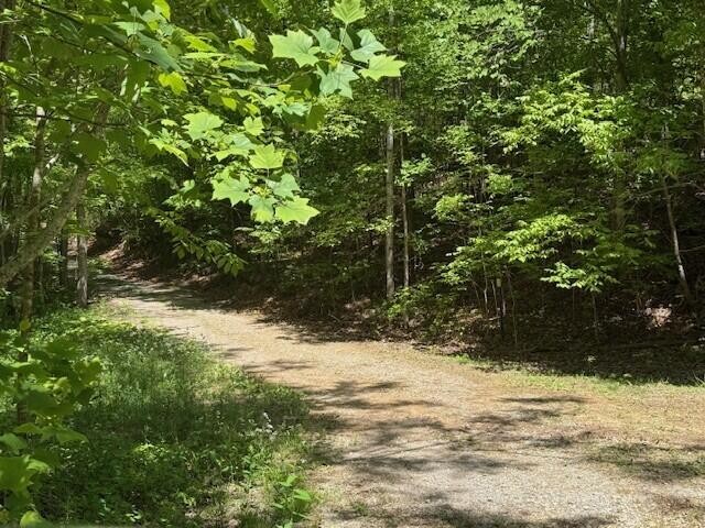 0 Pitts Gap Mountain Road Pikeville TN 37367