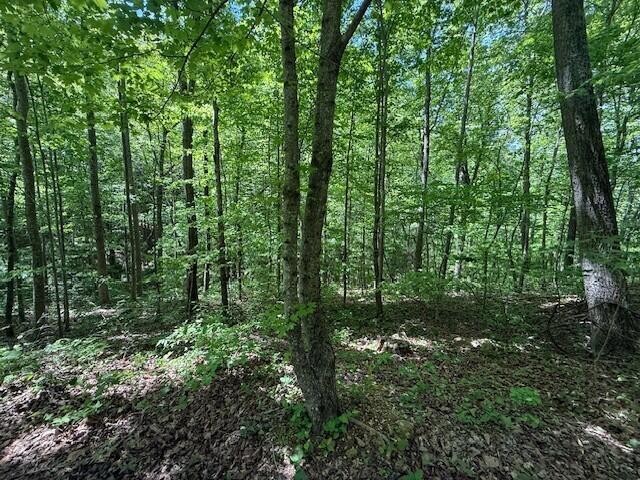 0 Pitts Gap Mountain Road Pikeville TN 37367