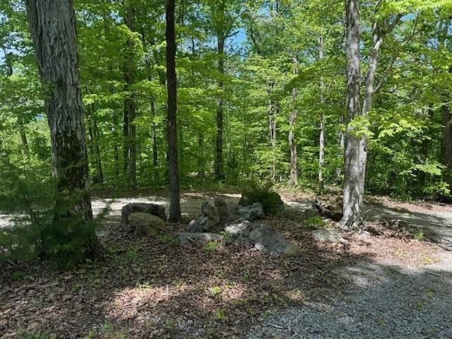 0 Pitts Gap Mountain Road Pikeville TN 37367