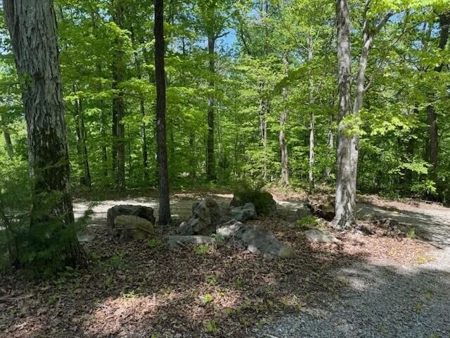 0 Pitts Gap Mountain Road Pikeville TN 37367