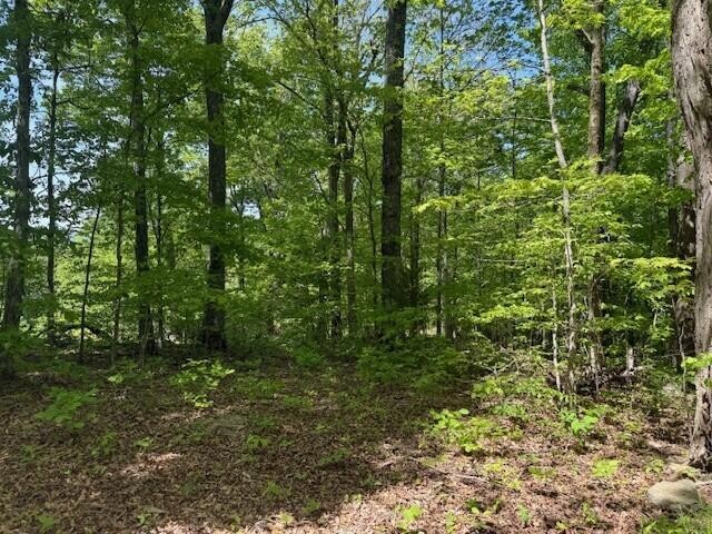 0 Pitts Gap Mountain Road Pikeville TN 37367