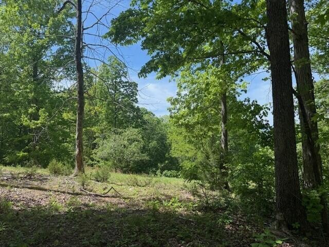 0 Pitts Gap Mountain Road Pikeville TN 37367