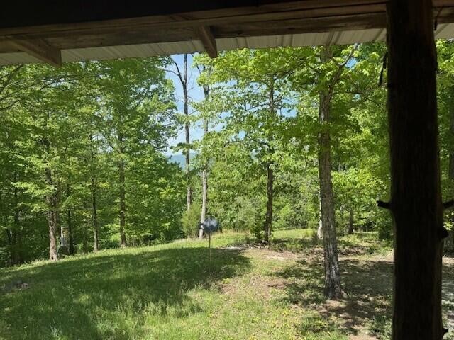 0 Pitts Gap Mountain Road Pikeville TN 37367