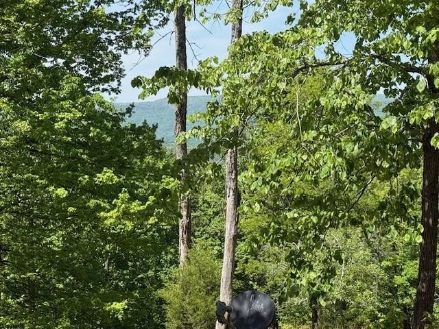 0 Pitts Gap Mountain Road Pikeville TN 37367