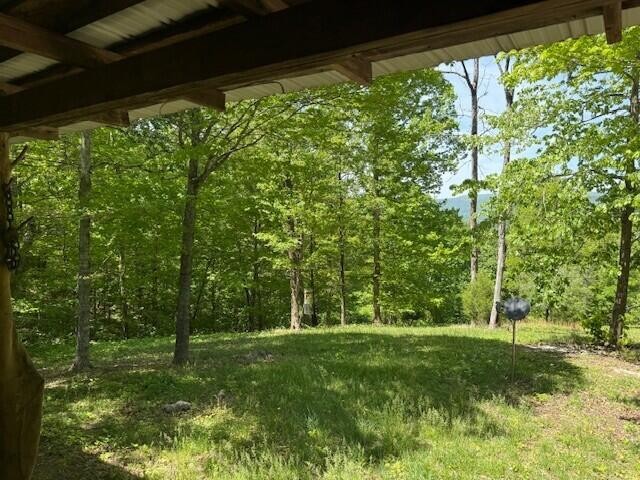 0 Pitts Gap Mountain Road Pikeville TN 37367