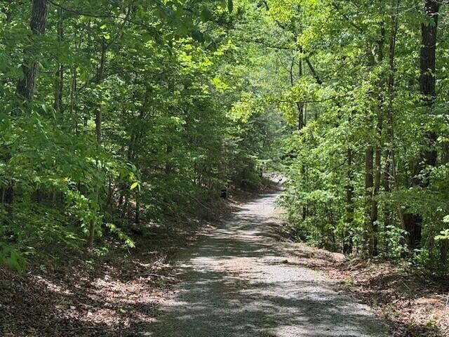 0 Pitts Gap Mountain Road Pikeville TN 37367