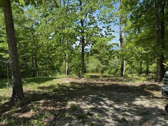 0 Pitts Gap Mountain Road Pikeville TN 37367
