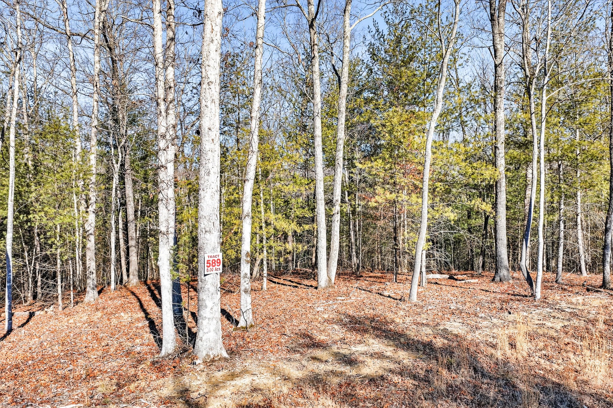 0 Proctor Place Road Jamestown TN 38556