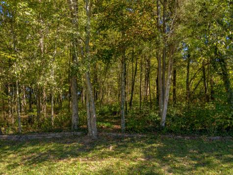 1001 Cornersville Road Lewisburg TN 37091
