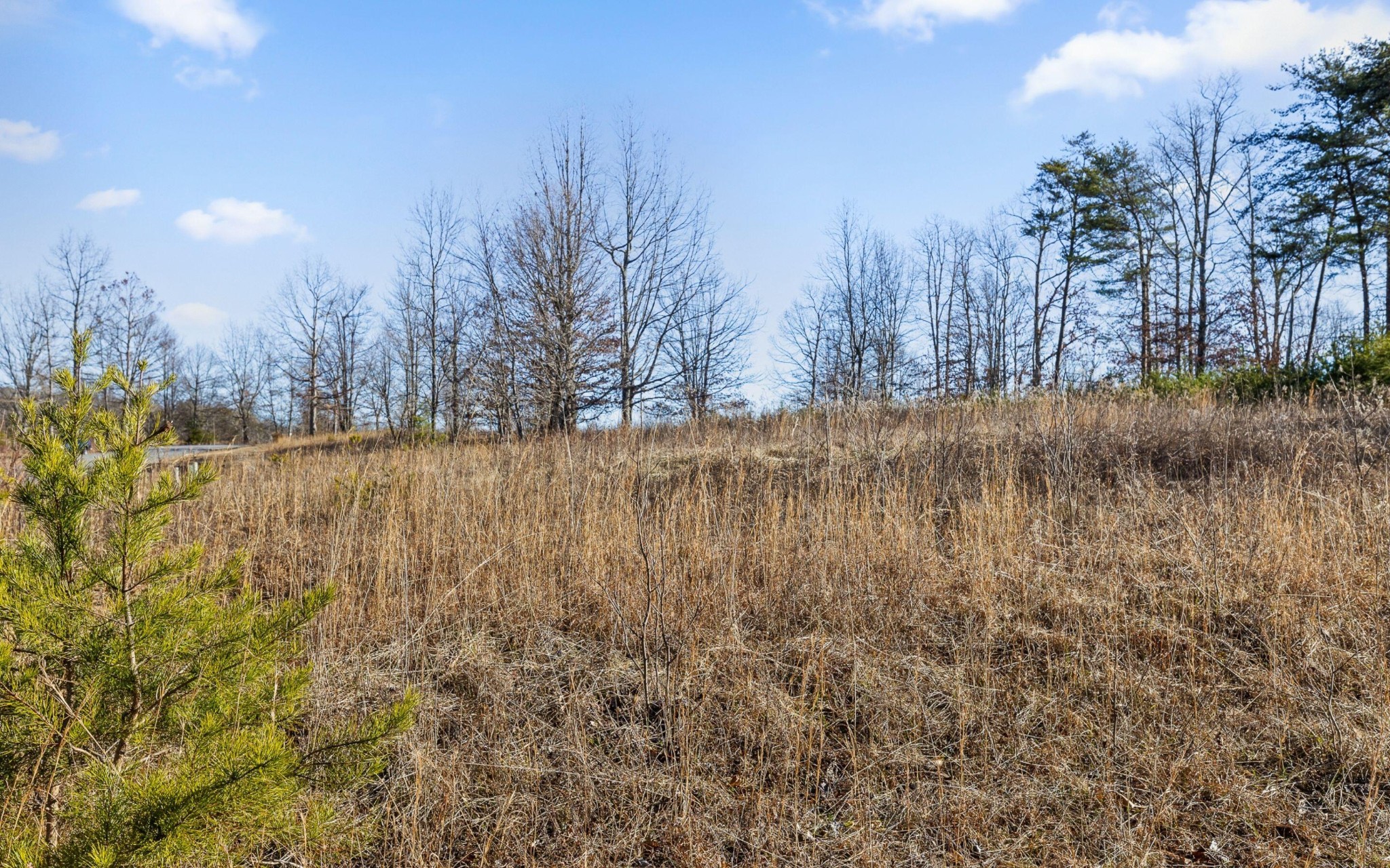 254 Roaring Creek Road Dunlap TN 37327