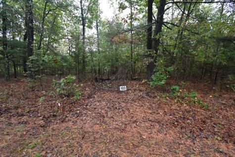 62 Hardison Lane Linden TN 37096