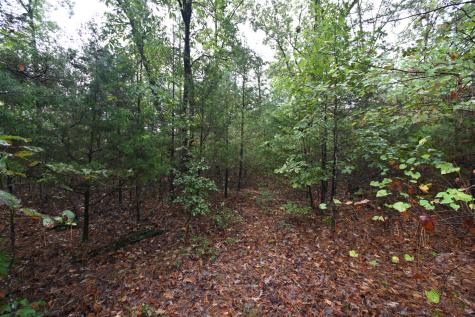62 Hardison Lane Linden TN 37096