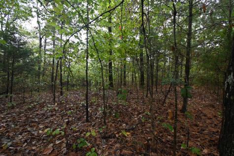 62 Hardison Lane Linden TN 37096