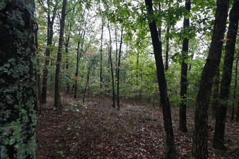 62 Hardison Lane Linden TN 37096