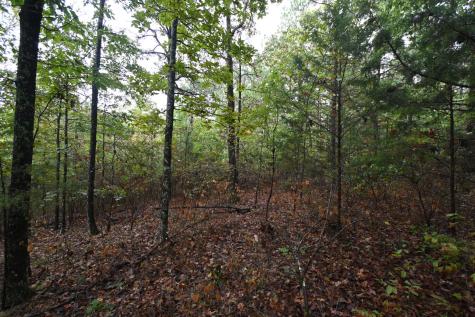 62 Hardison Lane Linden TN 37096