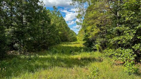0 Hines Gin Road Selmer TN 38375