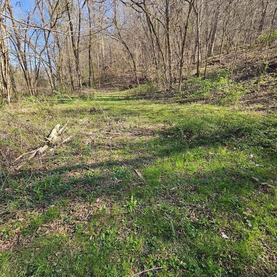 0 Big Hill Road Liberty TN 37095