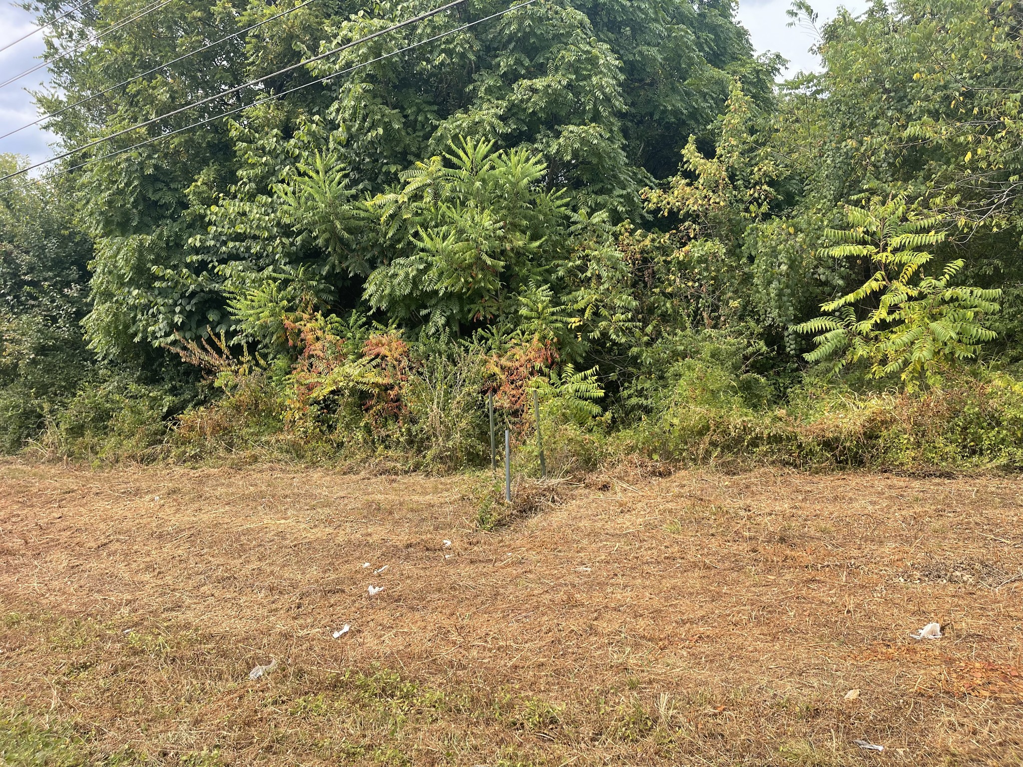 390 Downs Boulevard Franklin TN 37064