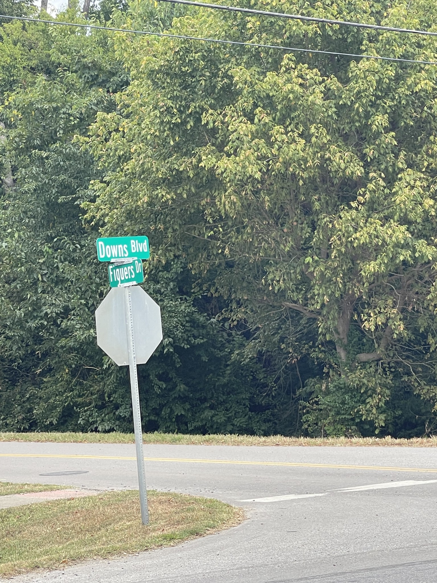 390 Downs Boulevard Franklin TN 37064