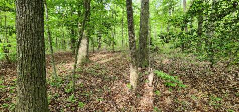0 Windstone Drive Tracy City TN 37387