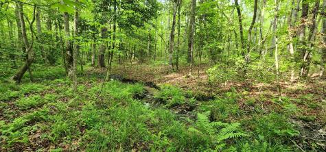 0 Windstone Drive Tracy City TN 37387