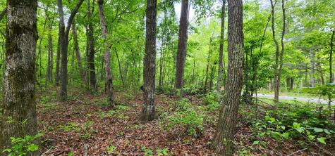0 Windstone Drive Tracy City TN 37387
