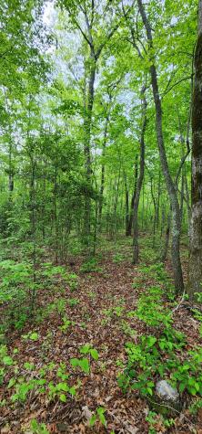 0 Windstone Drive Tracy City TN 37387
