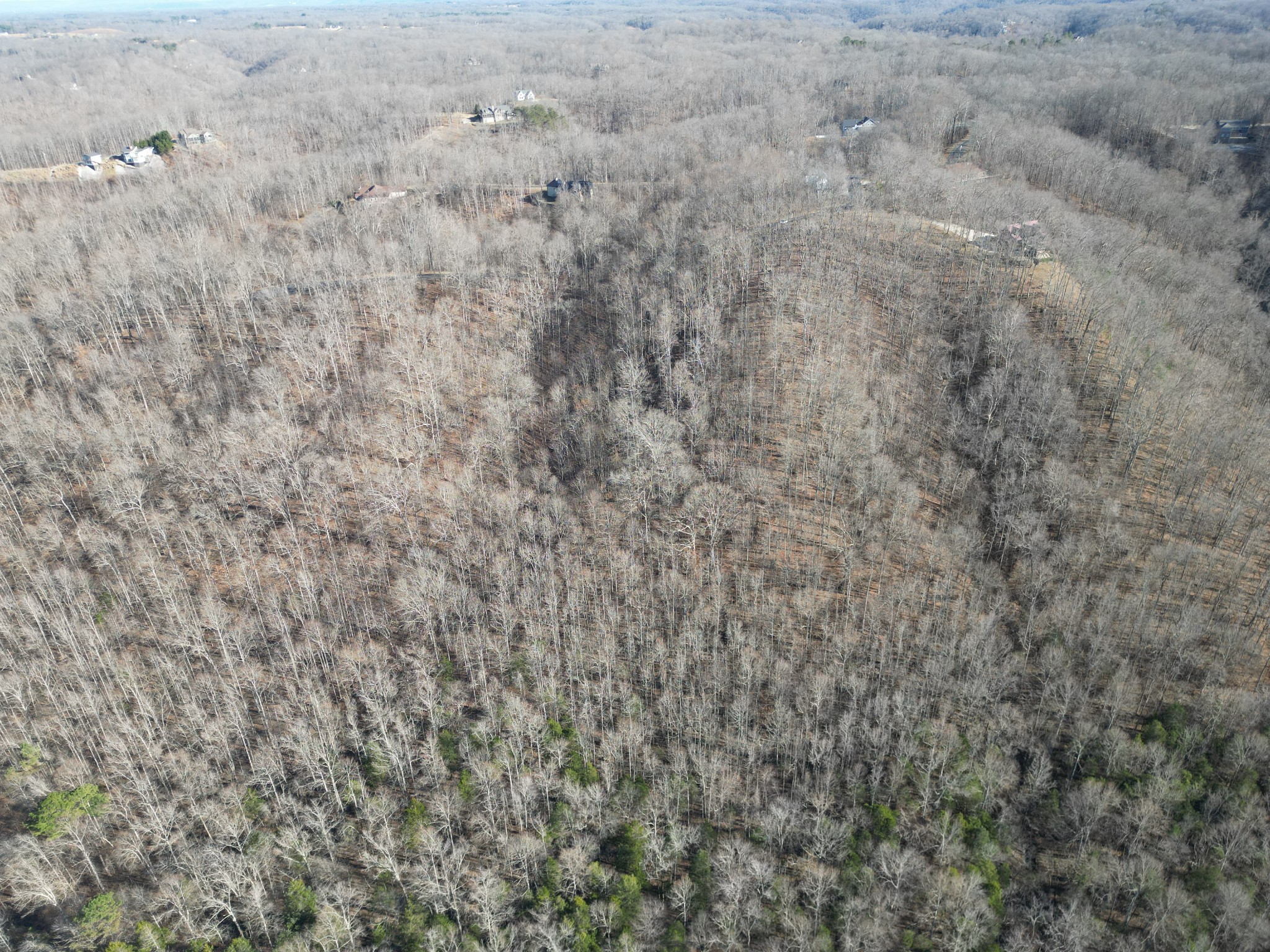0 Bridge Pointe Sparta TN 38583