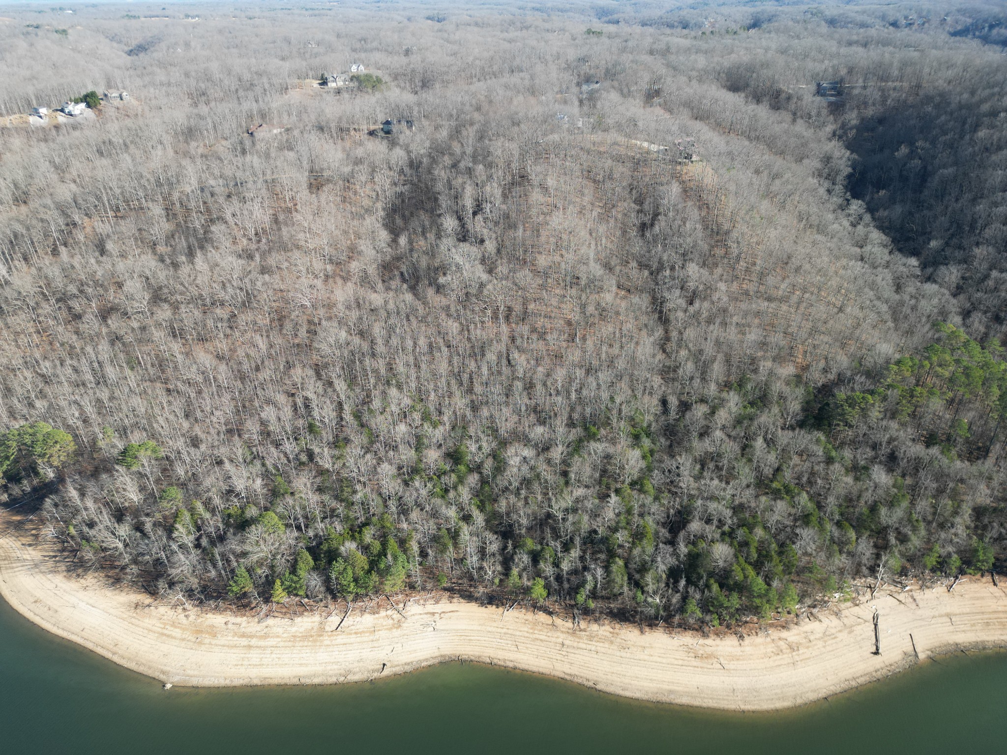 0 Bridge Pointe Sparta TN 38583