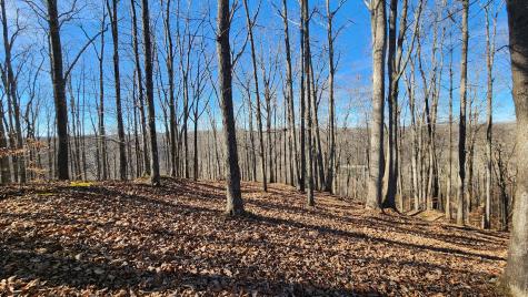 0 Bridge Pointe Sparta TN 38583