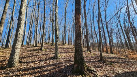 0 Bridge Pointe Sparta TN 38583