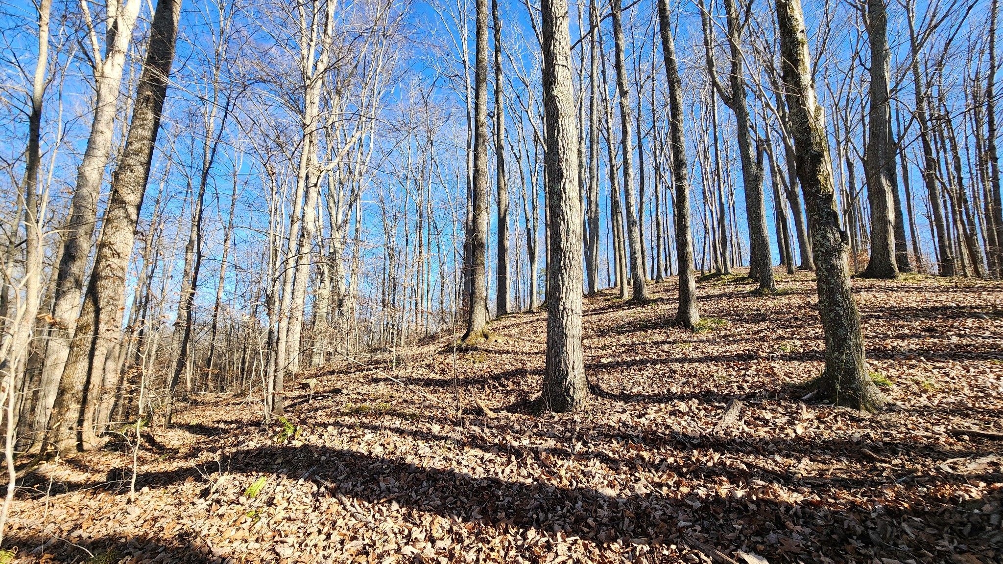 0 Bridge Pointe Sparta TN 38583