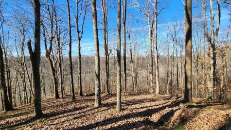 0 Bridge Pointe Sparta TN 38583