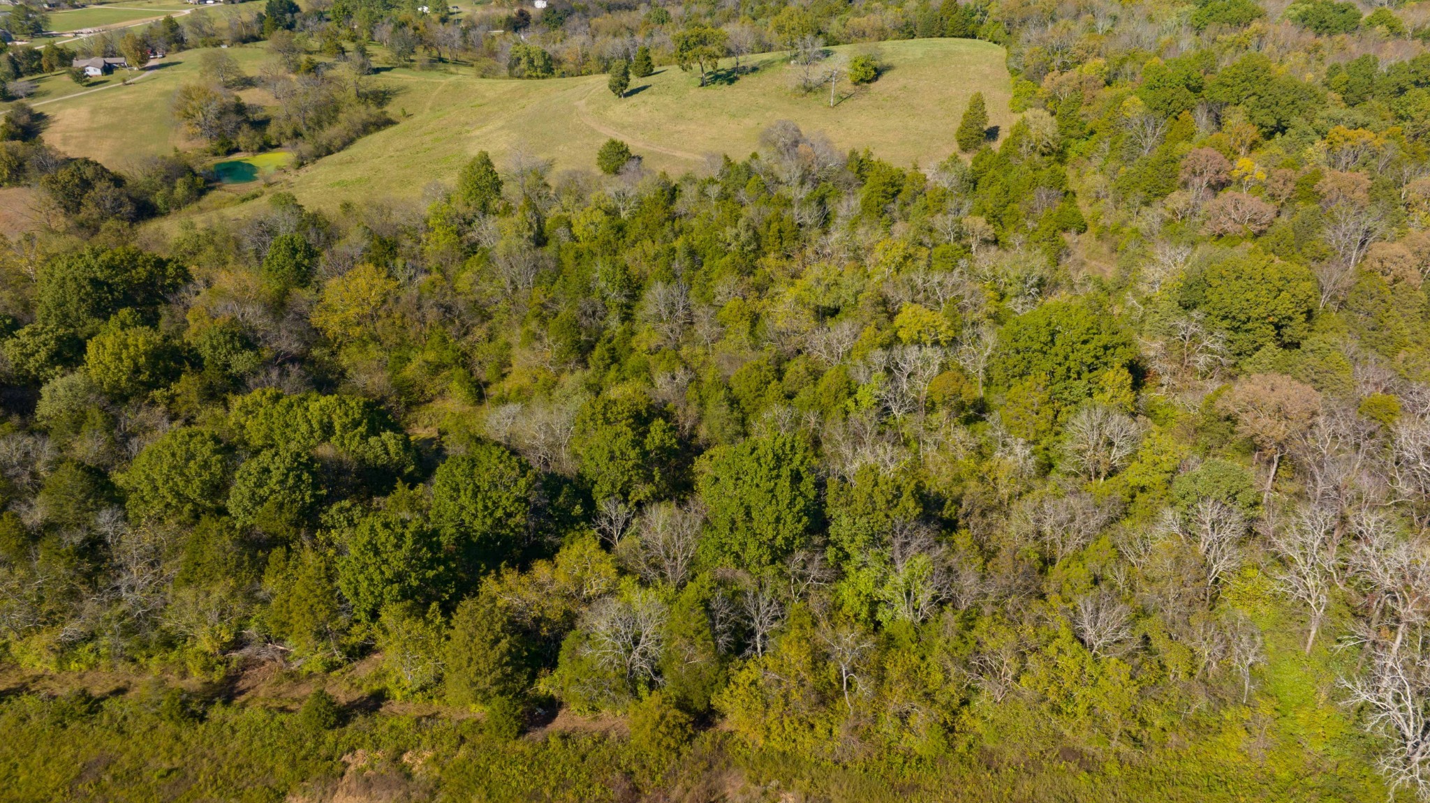 2045 Liberty Lane Gallatin TN 37066
