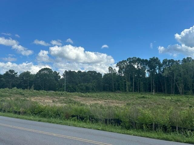23 Michigan Avenue Road, NE Cleveland TN 37323