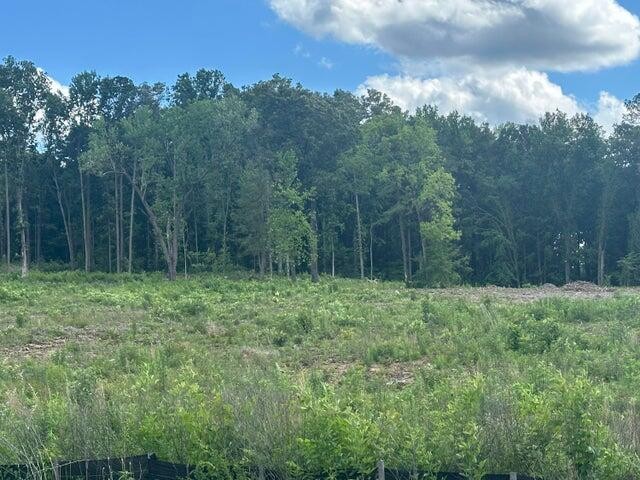 23 Michigan Avenue Road, NE Cleveland TN 37323