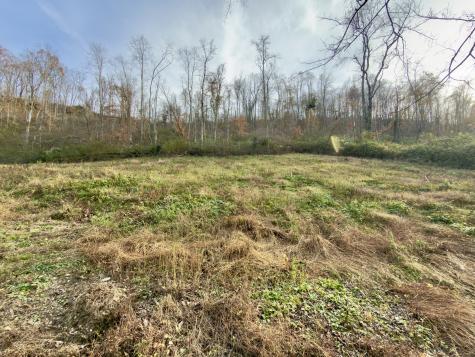 270 Higgins Road Woodbury TN 37190