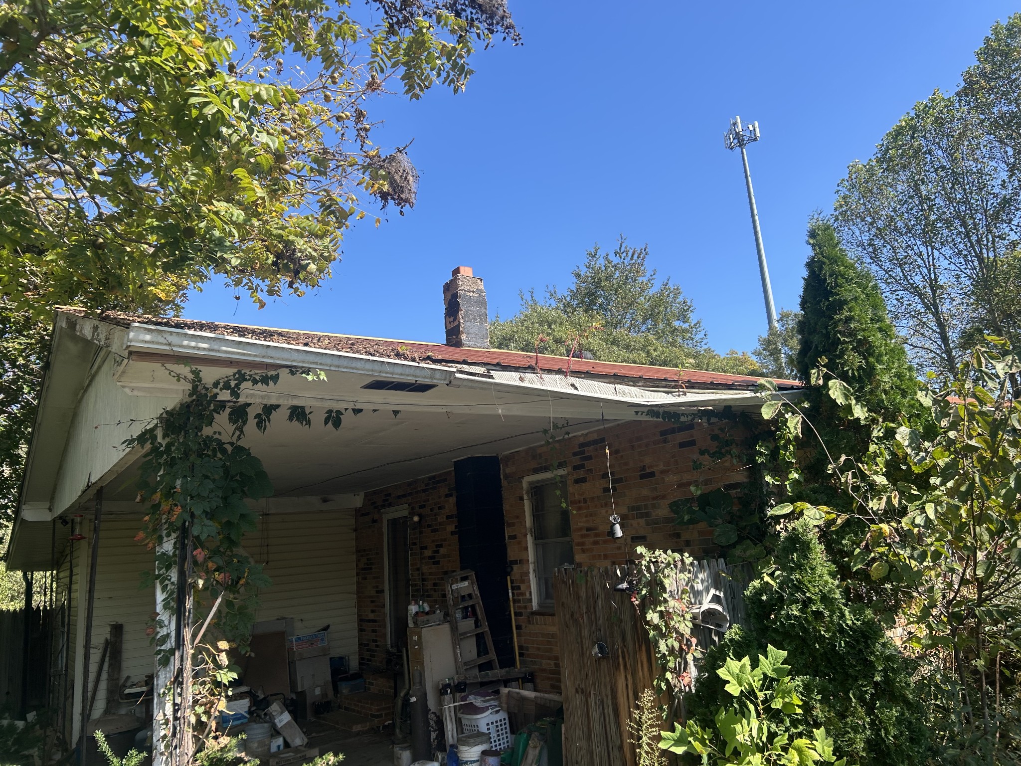 116 Haley Avenue Doyle TN 38559