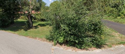 116 Haley Avenue Doyle TN 38559