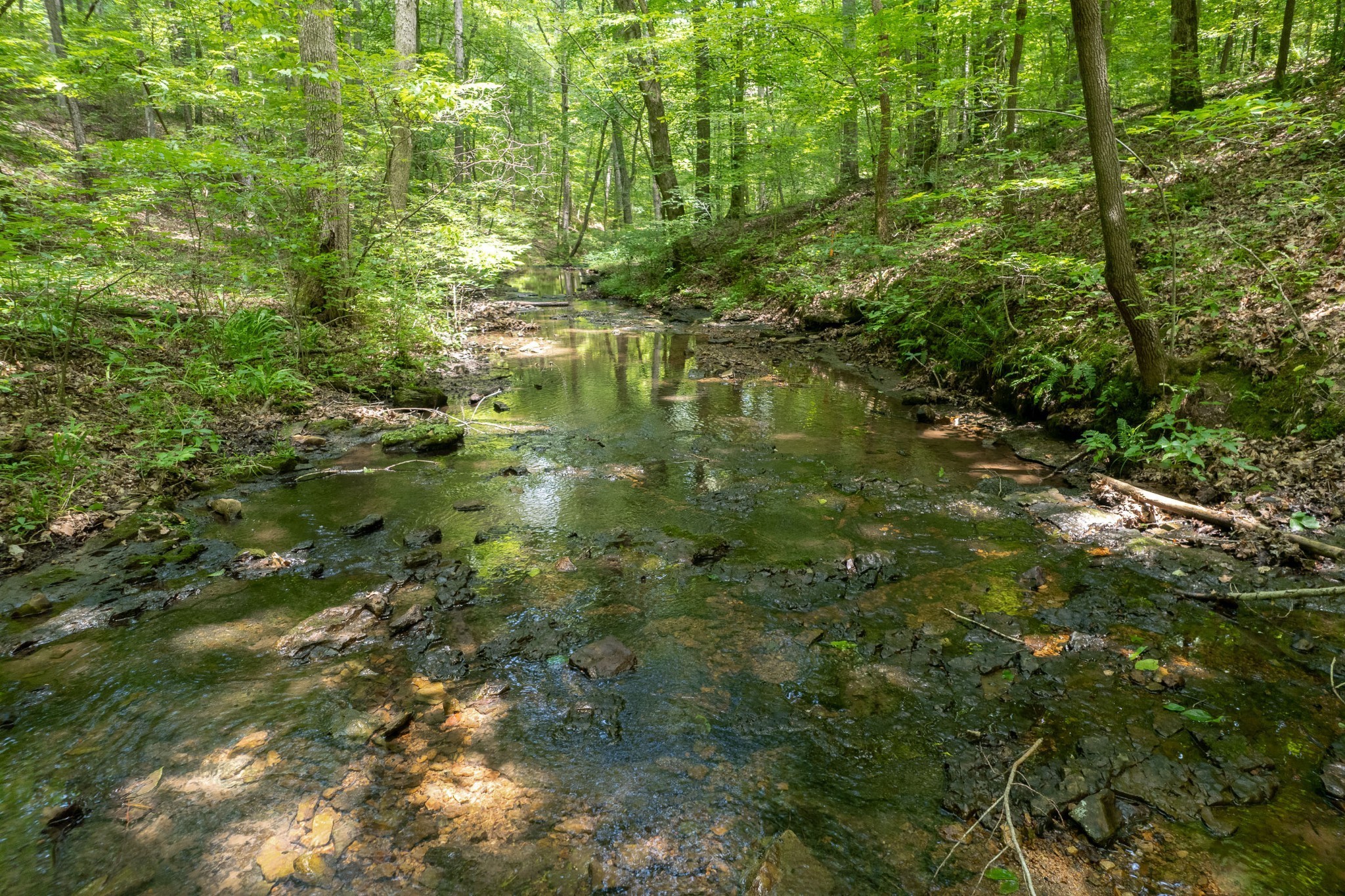 1050 Barnes Circle Kingston Springs TN 37082
