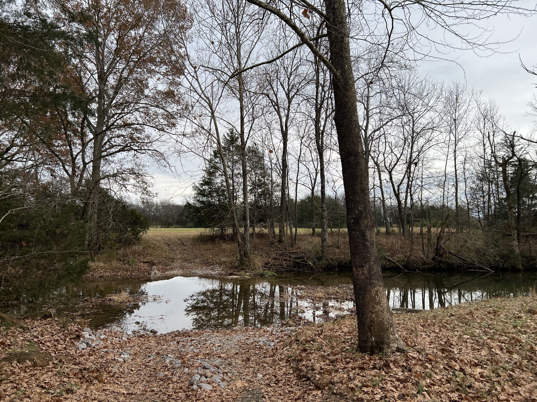 2 Pyles Road Chapel Hill TN 37034
