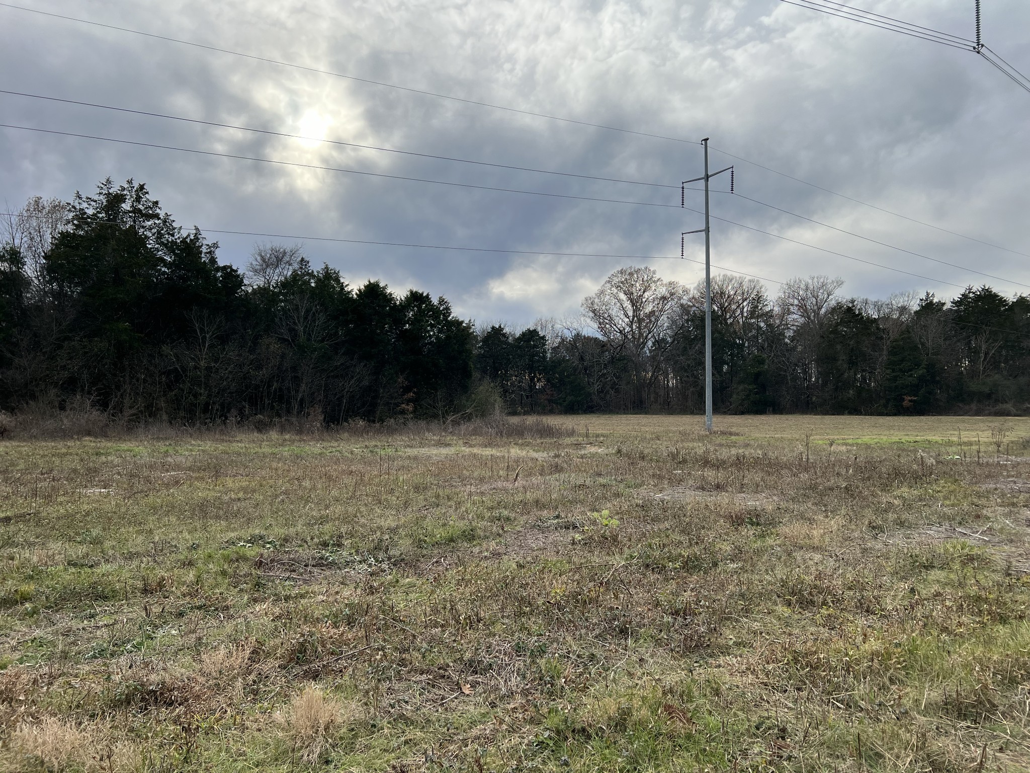 2 Pyles Road Chapel Hill TN 37034