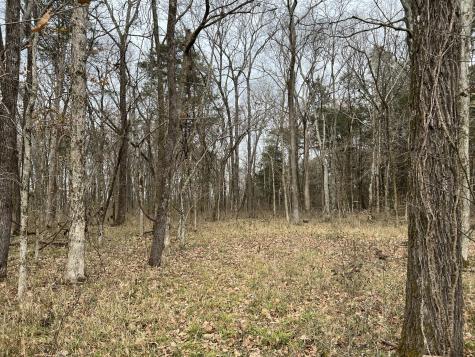 2 Pyles Road Chapel Hill TN 37034