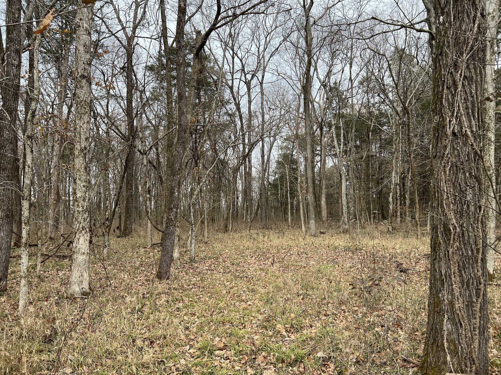 2 Pyles Road Chapel Hill TN 37034