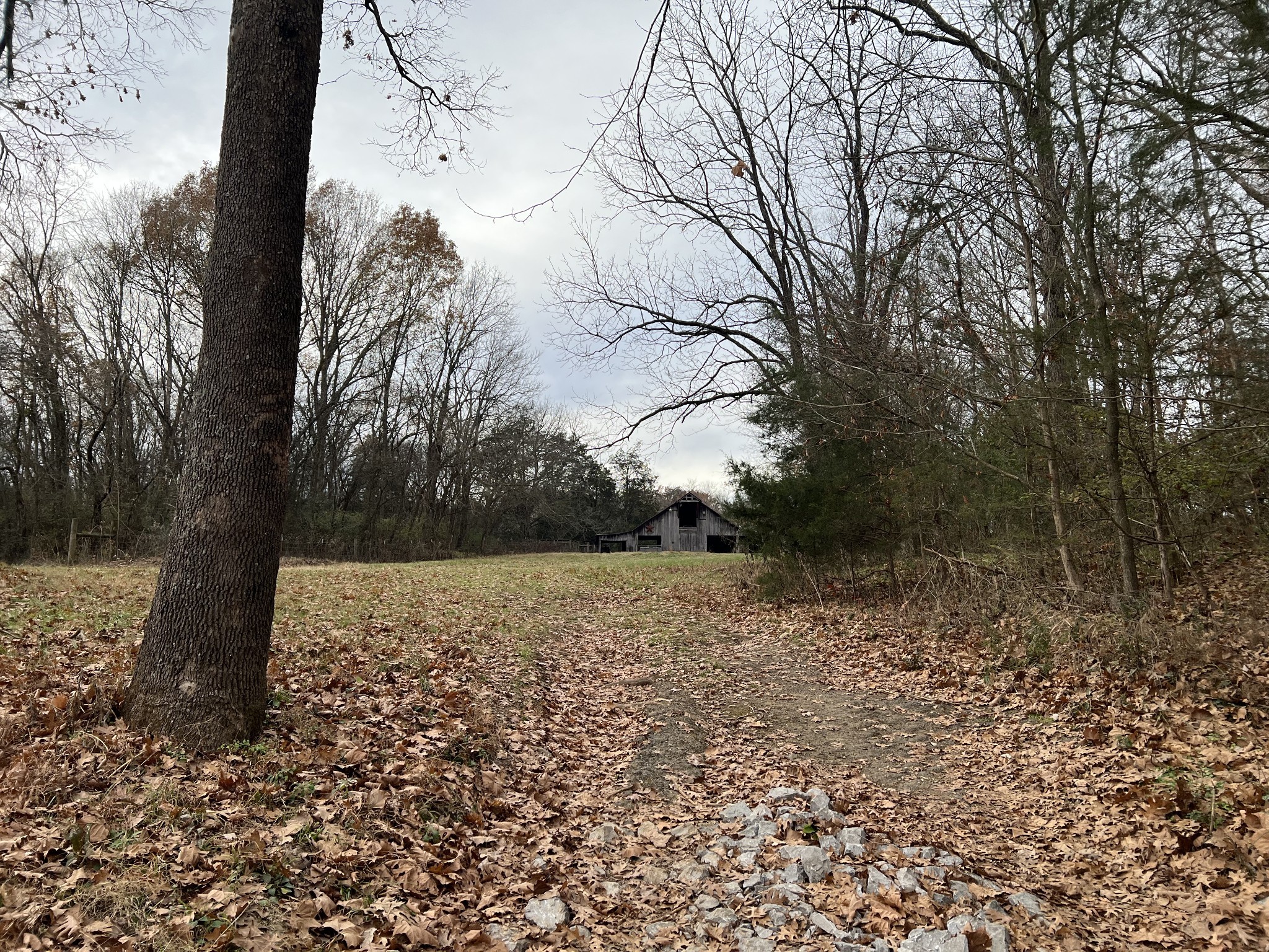 2 Pyles Road Chapel Hill TN 37034