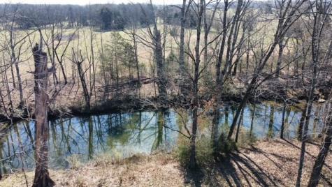 2 Pyles Road Chapel Hill TN 37034