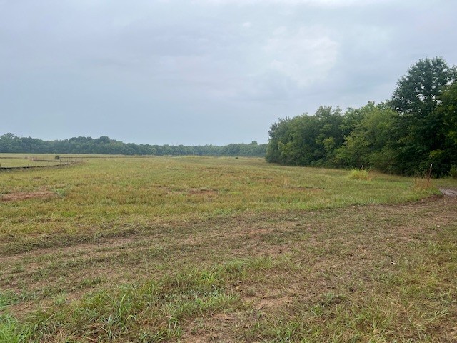 2 Pyles Road Chapel Hill TN 37034